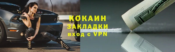 дживик Абаза