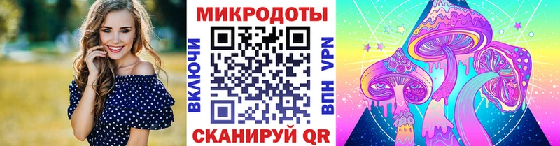 hydra ТОР  купить  цена  Димитровград  Псилоцибиновые грибы MAGIC MUSHROOMS 